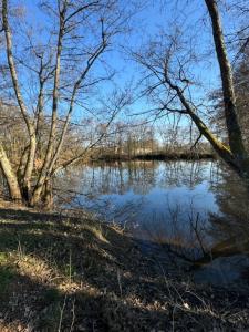 Annonce Vente Terrain Laizy 71
