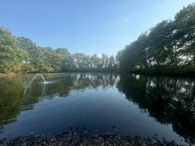 Acheter Terrain Laizy Saone et loire