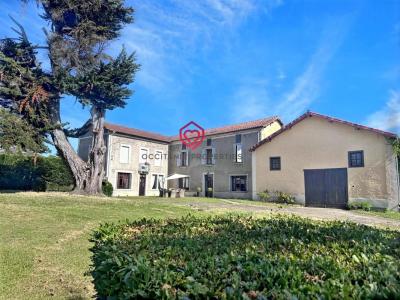 Acheter Maison 379 m2 Mielan