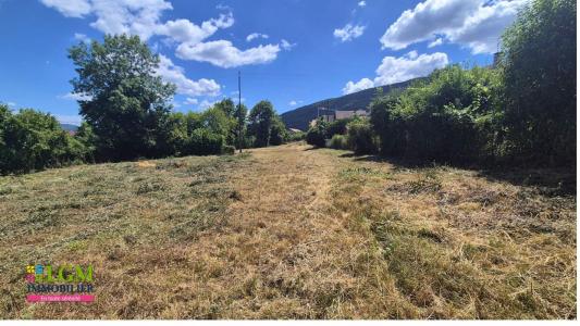 Annonce Vente Terrain Chanay 01