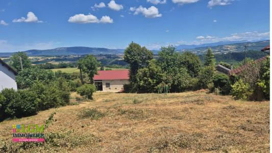 Annonce Vente Terrain Chanay 01