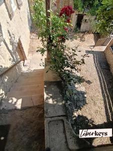 Annonce Vente 5 pi�ces Maison Cruzille 71