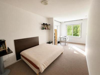 Annonce Vente 2 pi�ces Appartement Courdimanche 95