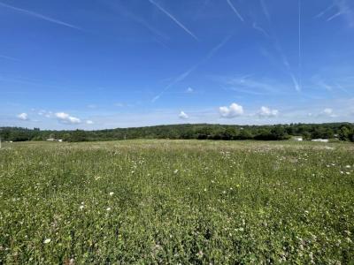 Annonce Vente Terrain Feytiat 87