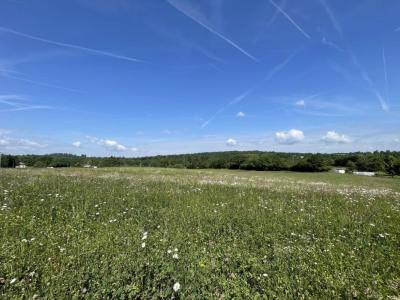 Acheter Terrain 1566 m2 Feytiat