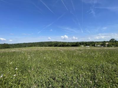 Acheter Terrain Feytiat Haute vienne