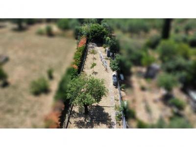 Annonce Vente 3 pi�ces Maison Tournissan 11