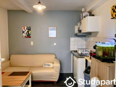 Annonce Location Appartement Orleans 45