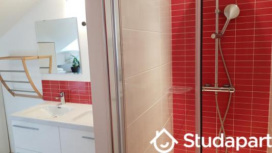 Annonce Location Appartement Sainte-foy-les-lyon 69