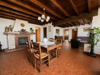 Annonce Vente 5 pi�ces Maison Montfort-en-chalosse 40