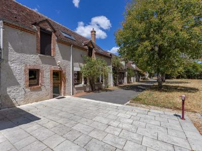 Annonce Vente 6 pi�ces Maison Pruniers-en-sologne 41