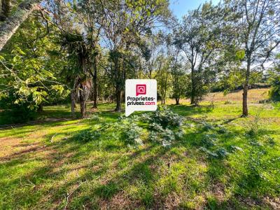 Acheter Maison Bazas 148000 euros