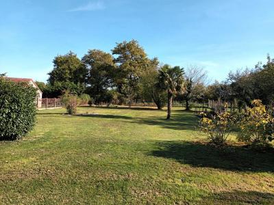 Annonce Vente 6 pi�ces Maison Saint-florent 45