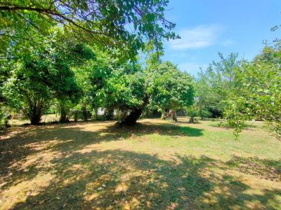 Acheter Maison Saint-loubes Gironde