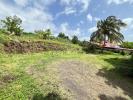 For sale Land Gourbeyre  545 m2