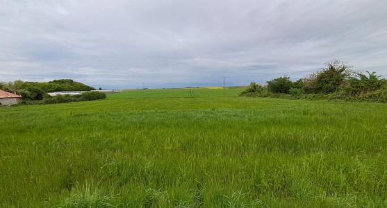 Annonce Vente Terrain Montreuil 85