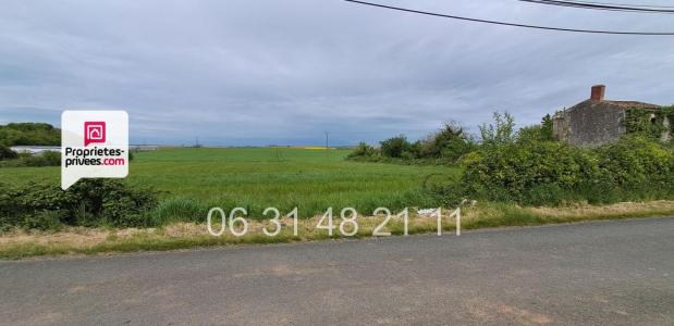 Acheter Terrain 1622 m2 Montreuil