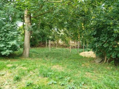 Acheter Maison 59 m2 Saint-paul-de-tartas