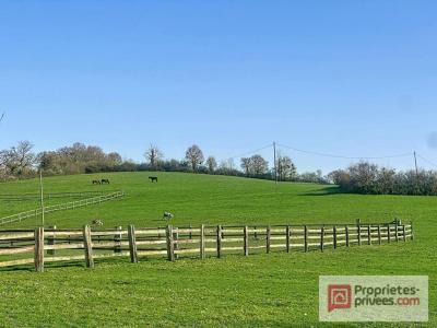 Annonce Vente 6 pi�ces Maison Pont-l'eveque 14