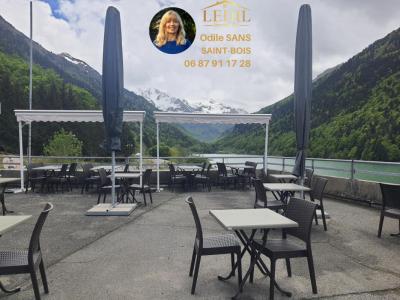 Acheter Commerce 188 m2 Laruns