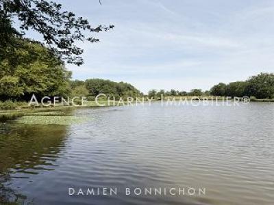 Acheter Maison Saint-fargeau Yonne