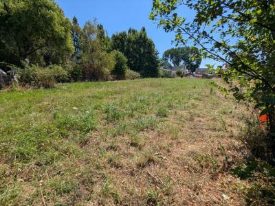For sale Sainte-anne-sur-brivet 791 m2 Loire atlantique (44160) photo 1