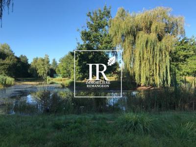 Annonce Vente Prestige Lamotte-beuvron 41