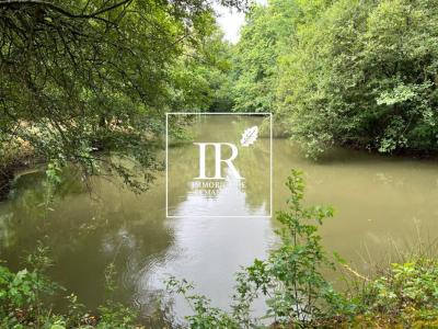 Annonce Vente 10 pi�ces Maison Lamotte-beuvron 41