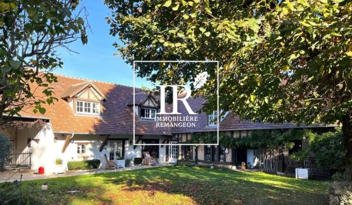 For sale Chaumont-sur-tharonne 12 rooms 335 m2 Loir et cher (41600) photo 0