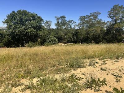 Acheter Maison Castanet-tolosan 503200 euros