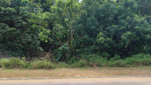 Annonce Vente Terrain Macouria 973