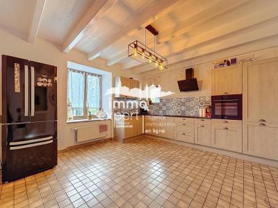 Acheter Maison 263 m2 Rozerotte