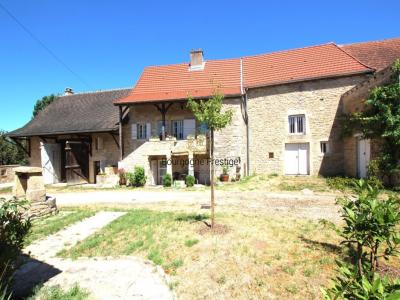 Annonce Vente Prestige Tournus 71
