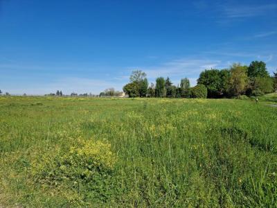 Annonce Vente Terrain Langon 33