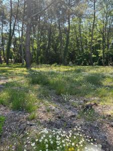 Annonce Vente Terrain Saint-aubin-de-medoc 33
