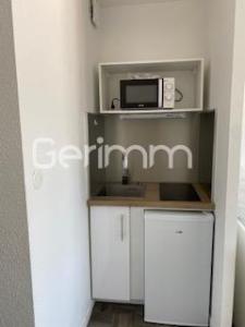 Annonce Location Appartement Grenoble 38