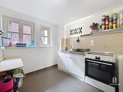 Acheter Appartement 63 m2 Strasbourg