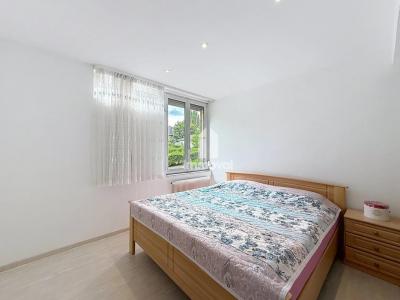 Acheter Appartement Strasbourg 224700 euros