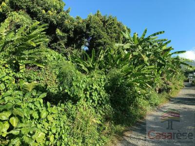 For sale Sainte-rose 500 m2 Reunion (97439) photo 1