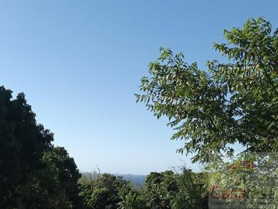 For sale Sainte-rose 500 m2 Reunion (97439) photo 2