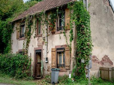 Annonce Vente 4 pi�ces Maison Saulnot 70