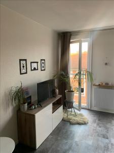 Annonce Location Appartement Toulouse 31
