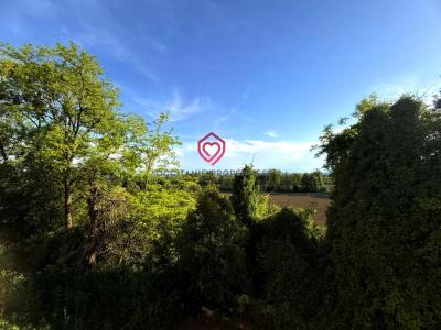 Annonce Vente Prestige Bram 11