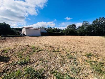 Annonce Vente Terrain Revel 31