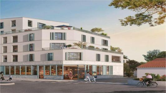 Annonce Location Appartement Rochelle 17