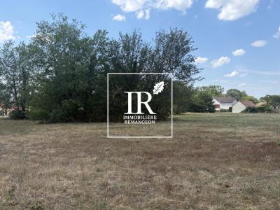 Annonce Vente Terrain Souesmes 41