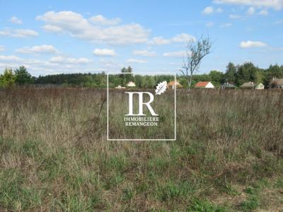For sale Chaumont-sur-tharonne 3032 m2 Loir et cher (41600) photo 0