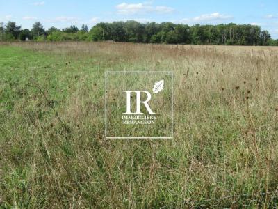 For sale Chaumont-sur-tharonne 1000 m2 Loir et cher (41600) photo 0