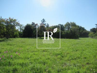 For sale Vouzon 2954 m2 Loir et cher (41600) photo 0
