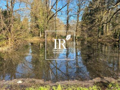 Acheter Prestige Lamotte-beuvron 1007000 euros